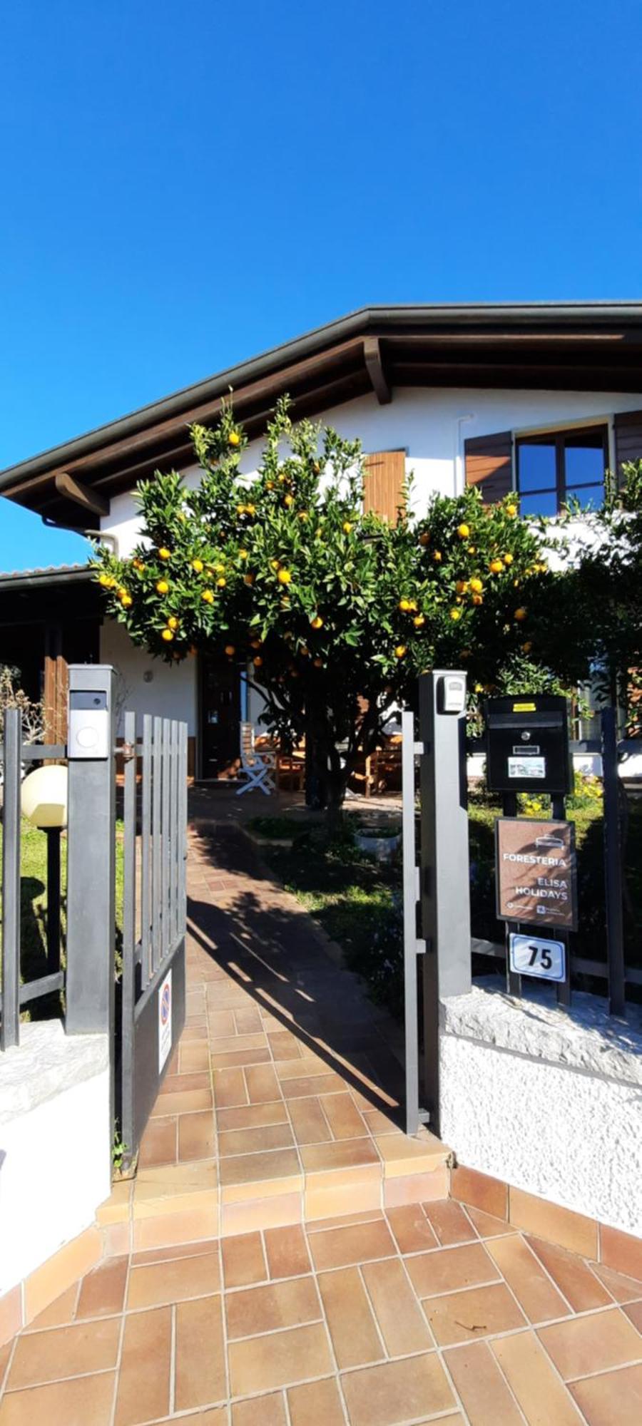 Elisa Holidays Apartments Puegnago sul Garda Exterior foto